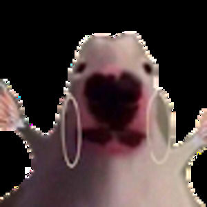 Meet your Posher, Aj